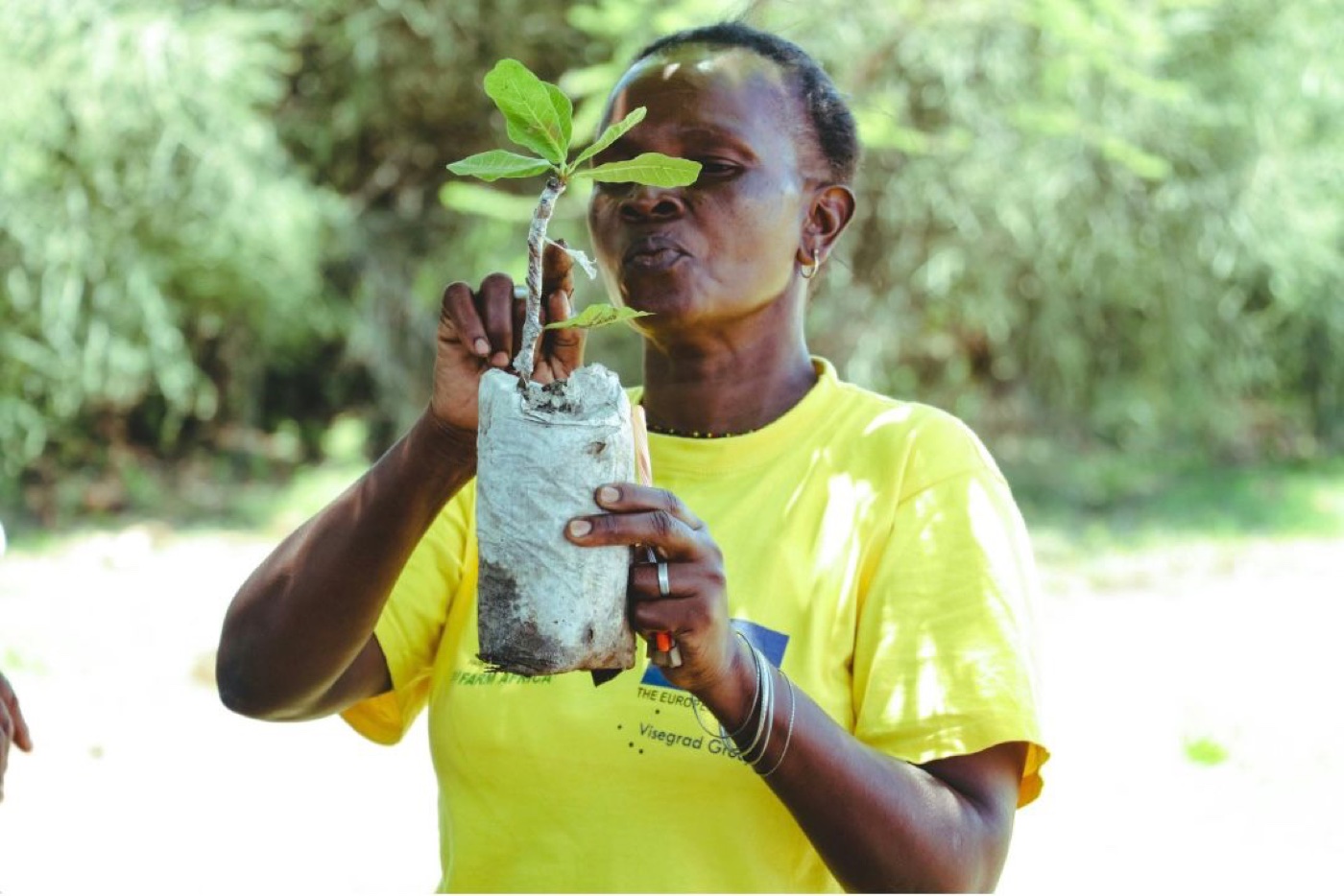 Maanyi Foundation participant receiving a seedling